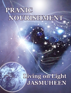 Living on Light Book